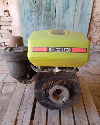 Motore lombardini IM 350