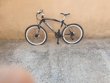 bottecchia