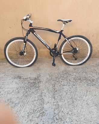 bottecchia