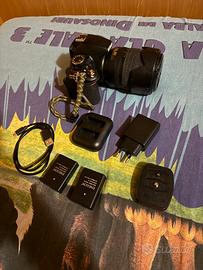 Nikon D3100