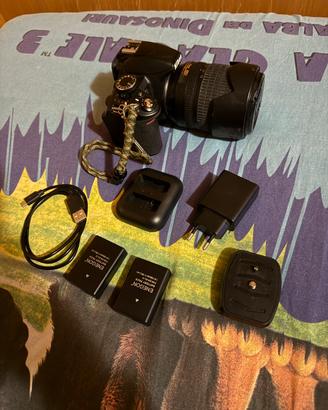 Nikon D3100