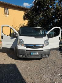 Furgone trasporto cani