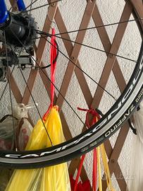 Ruote bici Campagnolo