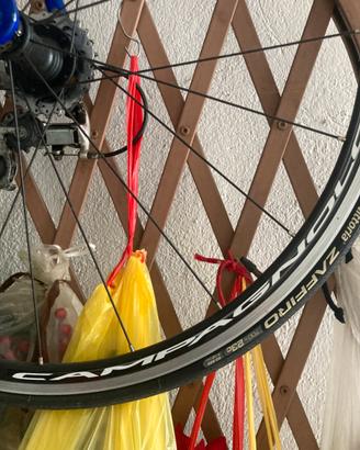 Ruote bici Campagnolo