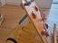 Immagine 6
