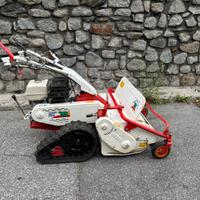 Trincia Sermenti Orec