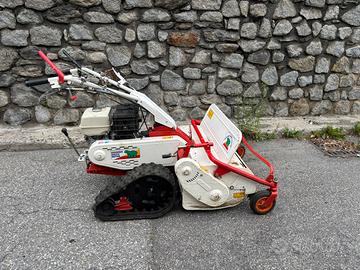 Trincia Sermenti Orec