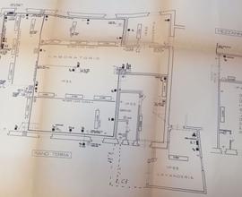Laboratorio Arezzo [C224ACG]