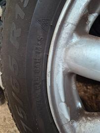 gomme Pirelli allseason