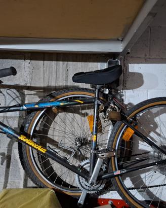 Mountain Bike Bottecchia 26" Uomo