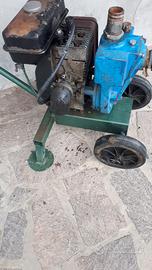 motopompa irrigazione