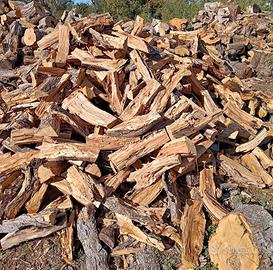 Legna di ulivo secca asche de ulia siccate bone