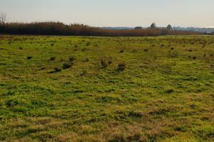 Terreno Agricolo Salerno [c25ca8d3-f562-435a-8VCG]
