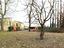 Immagine 25
