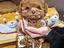 Immagine 1