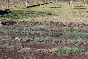 Poggiomarino Terreno Agricolo con Rudere di 52mq