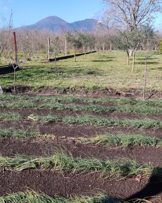 Poggiomarino Terreno Agricolo con Rudere di 52mq