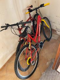Due biciclette mountain bike