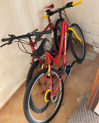 Due biciclette mountain bike