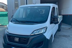 🚛 FIAT DUCATO 2024 CASSONATO - 2.2 6 POSTI 🚛