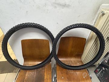 Gomme chiodate Schwalbe