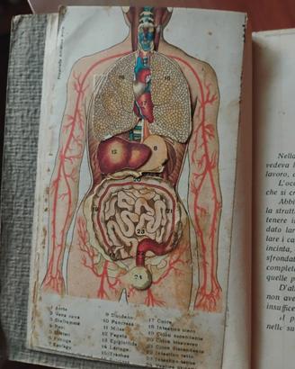 alimentazione nutrizionismo libro antico