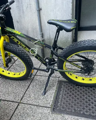 Fat Bike 24