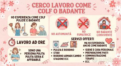 Colf badante pulizie 