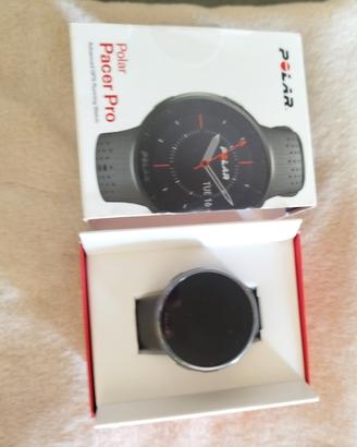 sportwatch polar