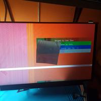 Monitor per pc