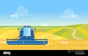 Rif.3703L| terreno agricolo chioggia - Vista 5