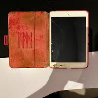 iPad Mini 2 funzionante ma rotto