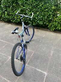 MTB Aurora