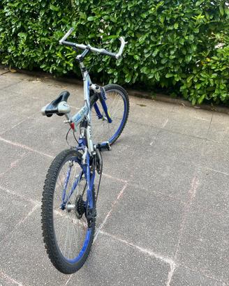 MTB Aurora