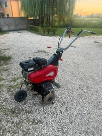 Motozappa sterwins