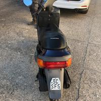 Zip Piaggio