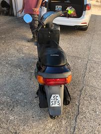 Zip Piaggio
