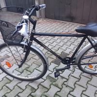 Bici WEG 28