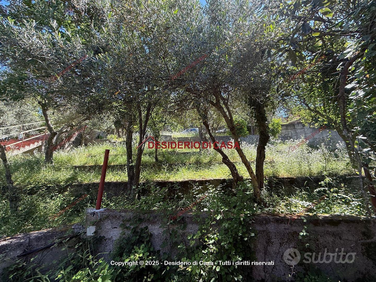 Terreno, Carini. - Vista 2