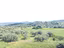 Immagine 10