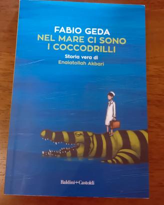 Nel mare ci sono i coccodrilli.