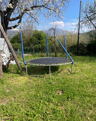 Trampolino bambini/adulti