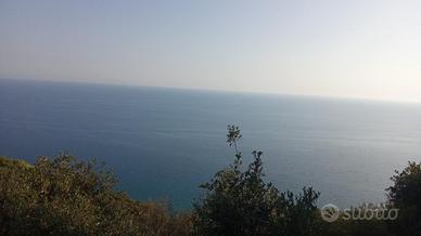 Terreno di quasi un ettaro panoramico cn ruderino