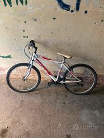 Mountain bike Coppi