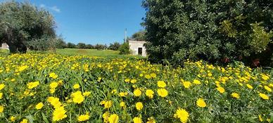 Terreno - Pozzallo
