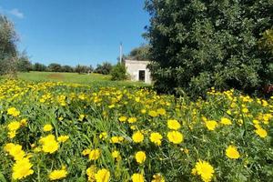 Terreno - Pozzallo
