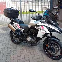 Benelli trk502x 