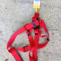 pettorina rossa 71-91 cm