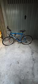 MontainBike Vicini 