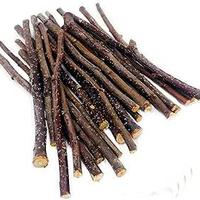 CONIGLiO   - BASTONCI  BIO   RODITORI ,CINCILLA'